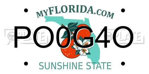 PO0G4O Florida License Plate
