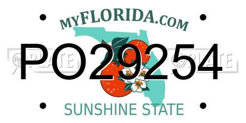 PO29254 Florida License Plate