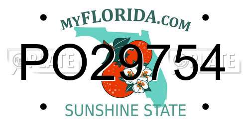 PO29754 Florida License Plate