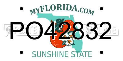PO42832 Florida License Plate