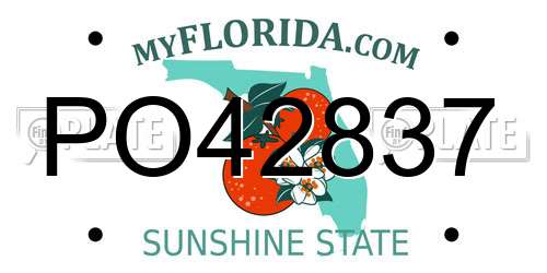 PO42837 Florida License Plate