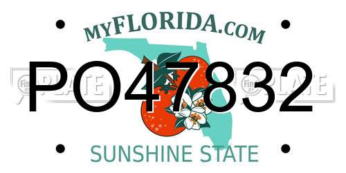 PO47832 Florida License Plate