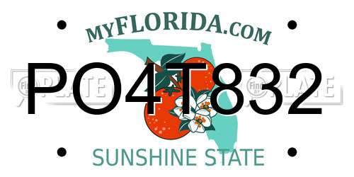 PO4T832 Florida License Plate