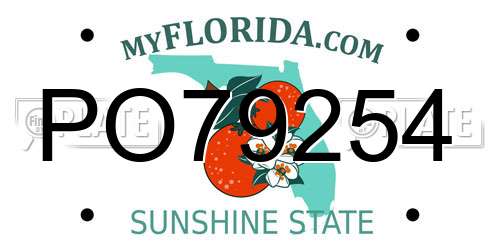PO79254 Florida License Plate