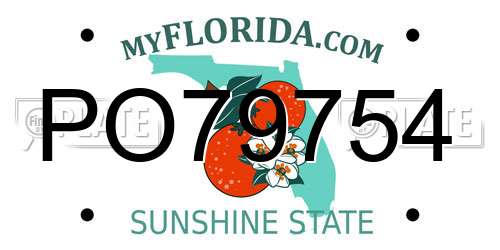 PO79754 Florida License Plate