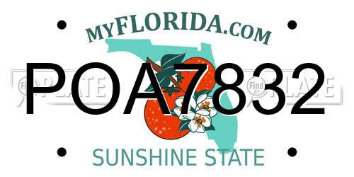 POA7832 Florida License Plate