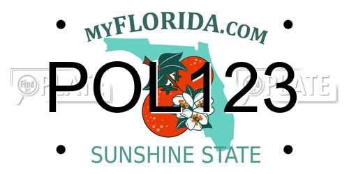 POL123 Florida License Plate