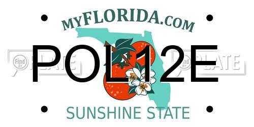 POL12E Florida License Plate