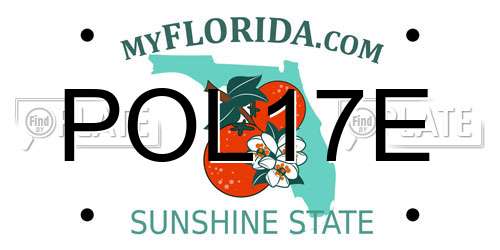 POL17E Florida License Plate
