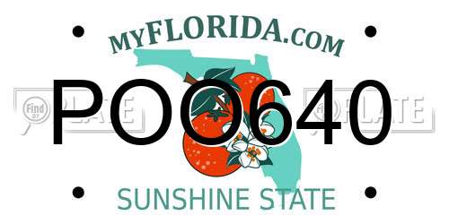 POO640 Florida License Plate