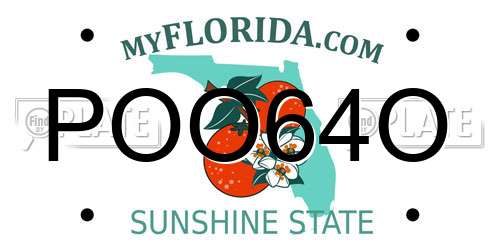 POO64O Florida License Plate