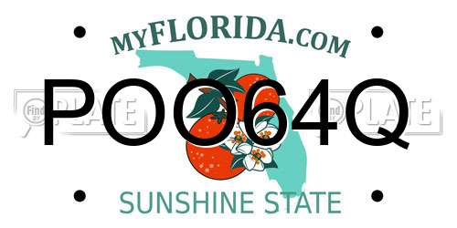 POO64Q Florida License Plate