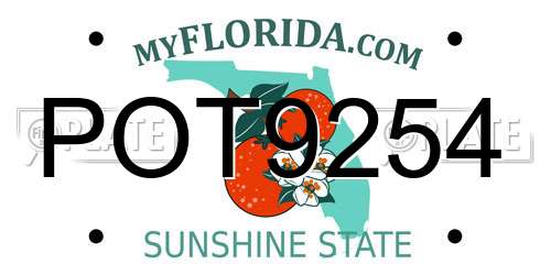 POT9254 Florida License Plate