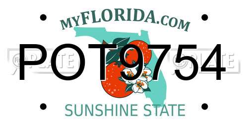 POT9754 Florida License Plate
