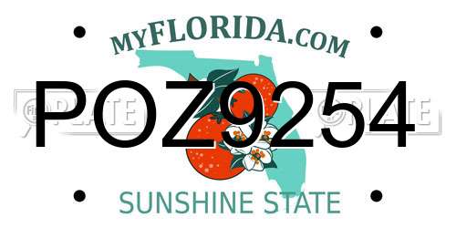 POZ9254 Florida License Plate