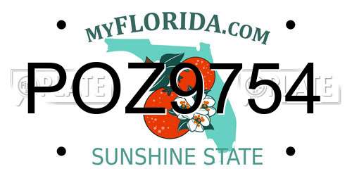 POZ9754 Florida License Plate