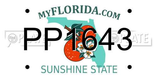 PP1643 Florida License Plate