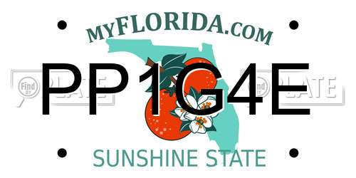 PP1G4E Florida License Plate
