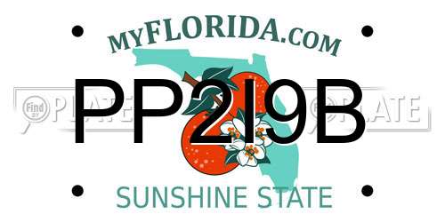 PP2I9B Florida License Plate