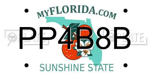 PP4B8B Florida License Plate
