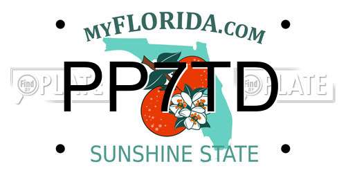 PP7TD Florida License Plate