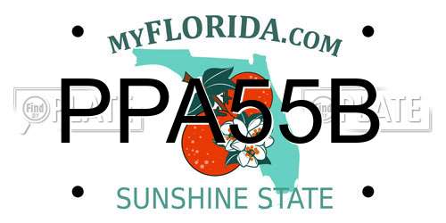 PPA55B Florida License Plate