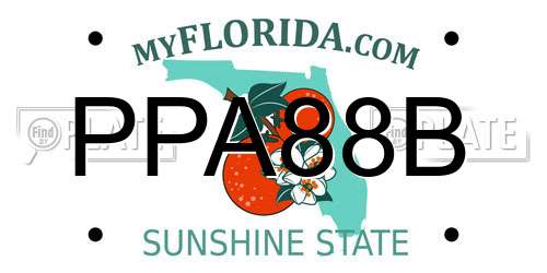 PPA88B Florida License Plate