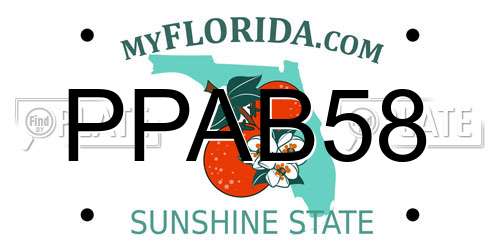PPAB58 Florida License Plate