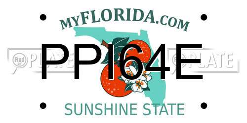 PPI64E Florida License Plate