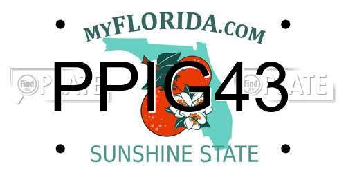 PPIG43 Florida License Plate