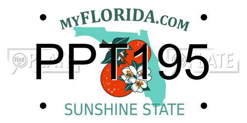 PPT195 Florida License Plate