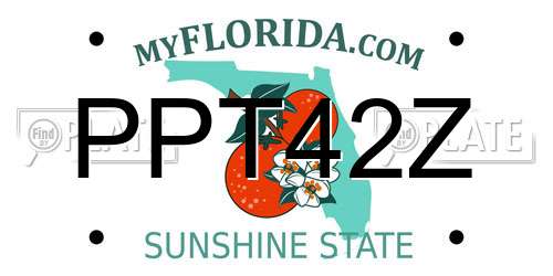 PPT42Z Florida License Plate