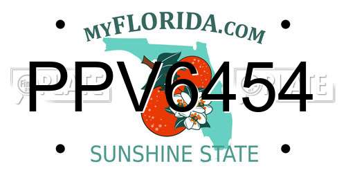 PPV6454 Florida License Plate