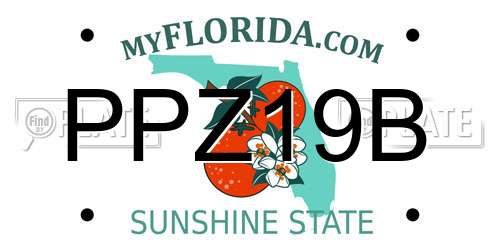 PPZ19B Florida License Plate