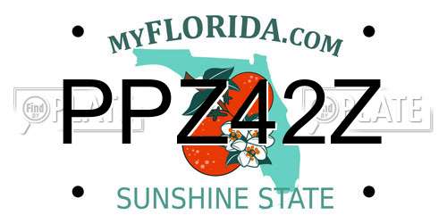 PPZ42Z Florida License Plate