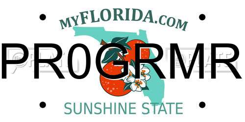 PR0GRMR Florida License Plate