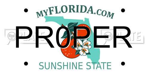PR0PER Florida License Plate