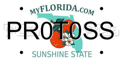 PR0T0SS Florida License Plate