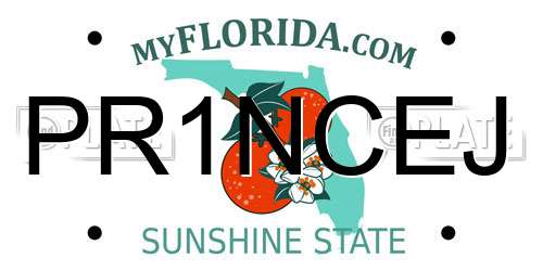 PR1NCEJ Florida License Plate