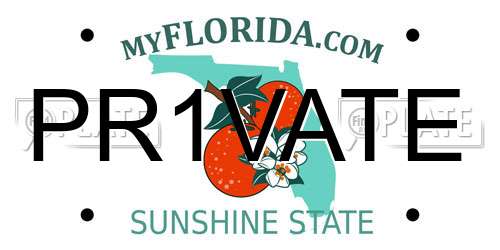 PR1VATE Florida License Plate