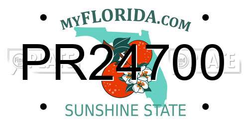PR24700 Florida License Plate