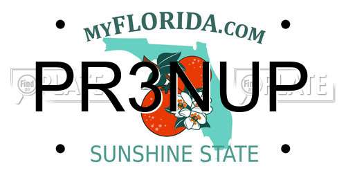 PR3NUP Florida License Plate