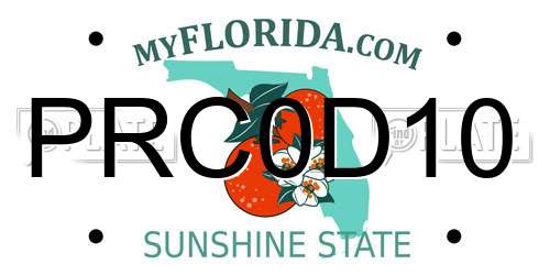 PRC0D10 Florida License Plate