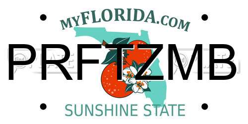 PRFTZMB Florida License Plate