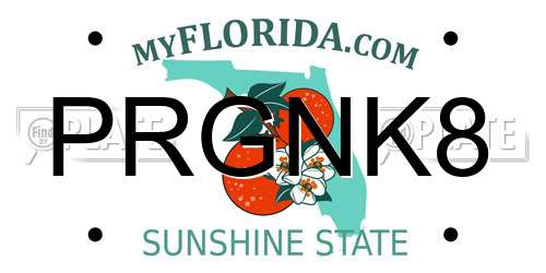 PRGNK8 Florida License Plate