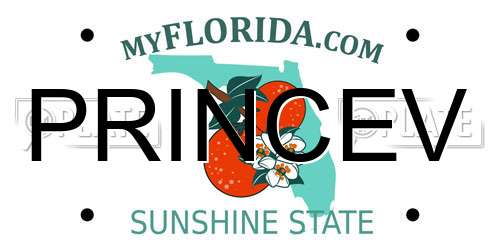 PRINCEV Florida License Plate