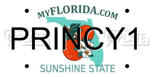 PRINCY1 Florida License Plate