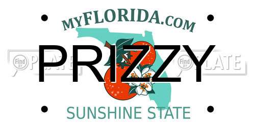 PRIZZY Florida License Plate
