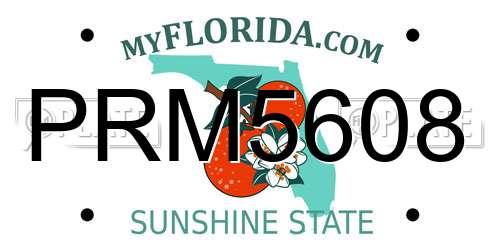 PRM5608 Florida License Plate