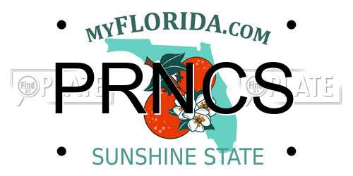 PRNCS Florida License Plate